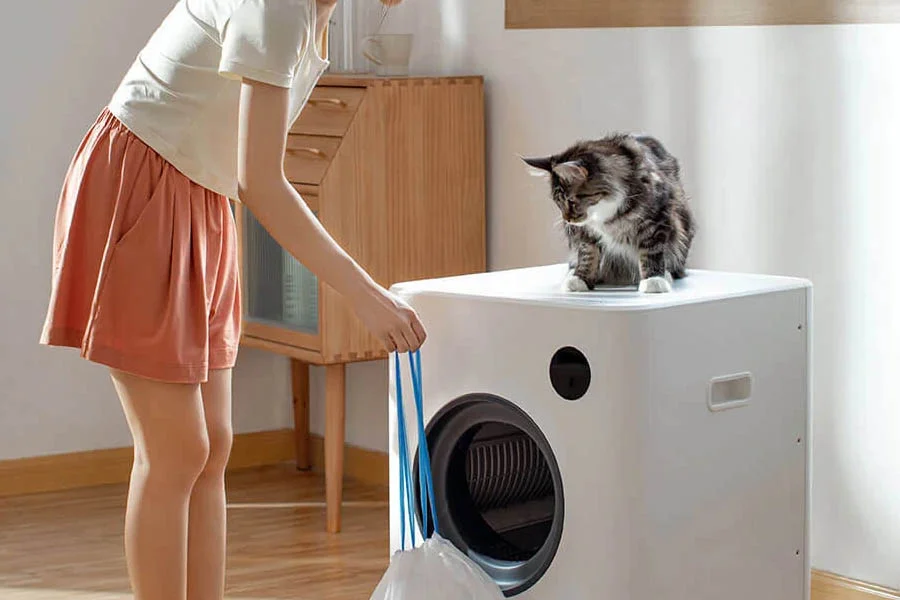 no smell cat box